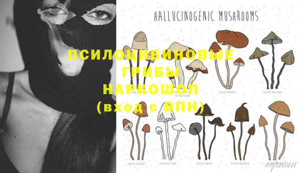 таблы Заводоуковск
