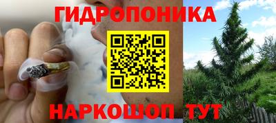 СК Пыть-Ях