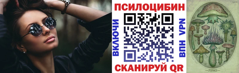 площадка состав Искитим Галлюциногенные грибы прущие грибы