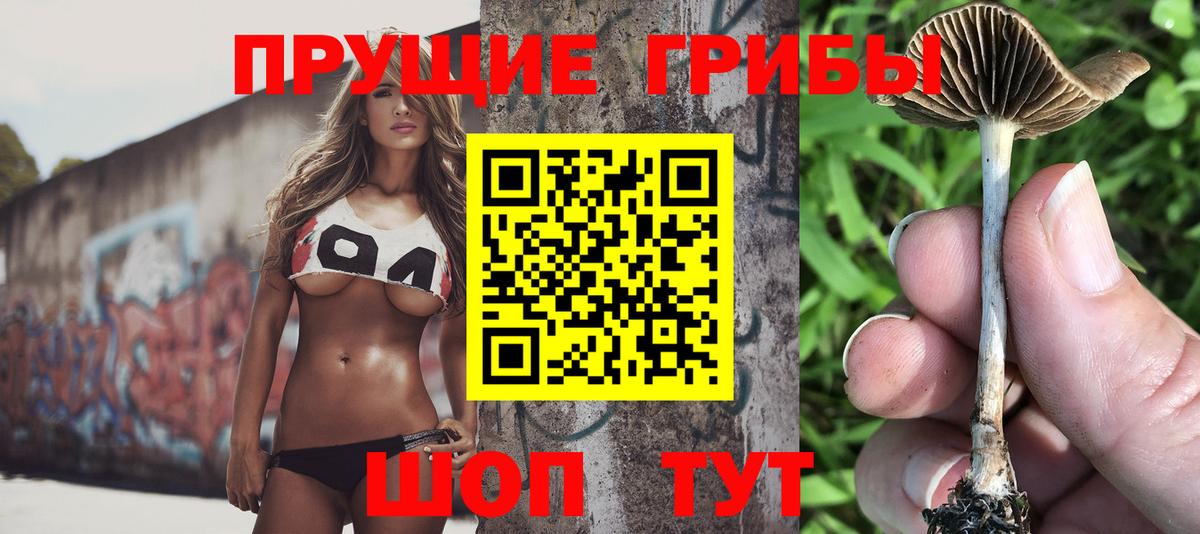 Галлюциногенные грибы прущие грибы  наркотики  Искитим  Вход с VPN  Псилоцибиновые грибы мицелий 