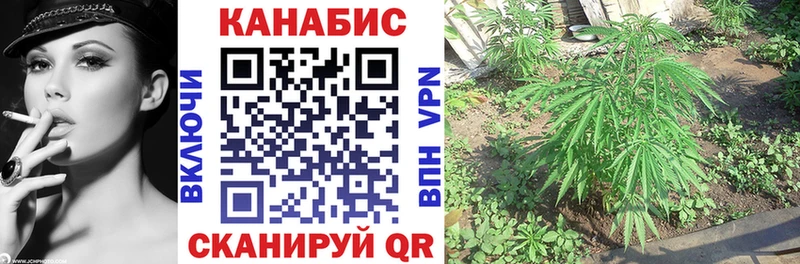 Шишки марихуана планчик Искитим
